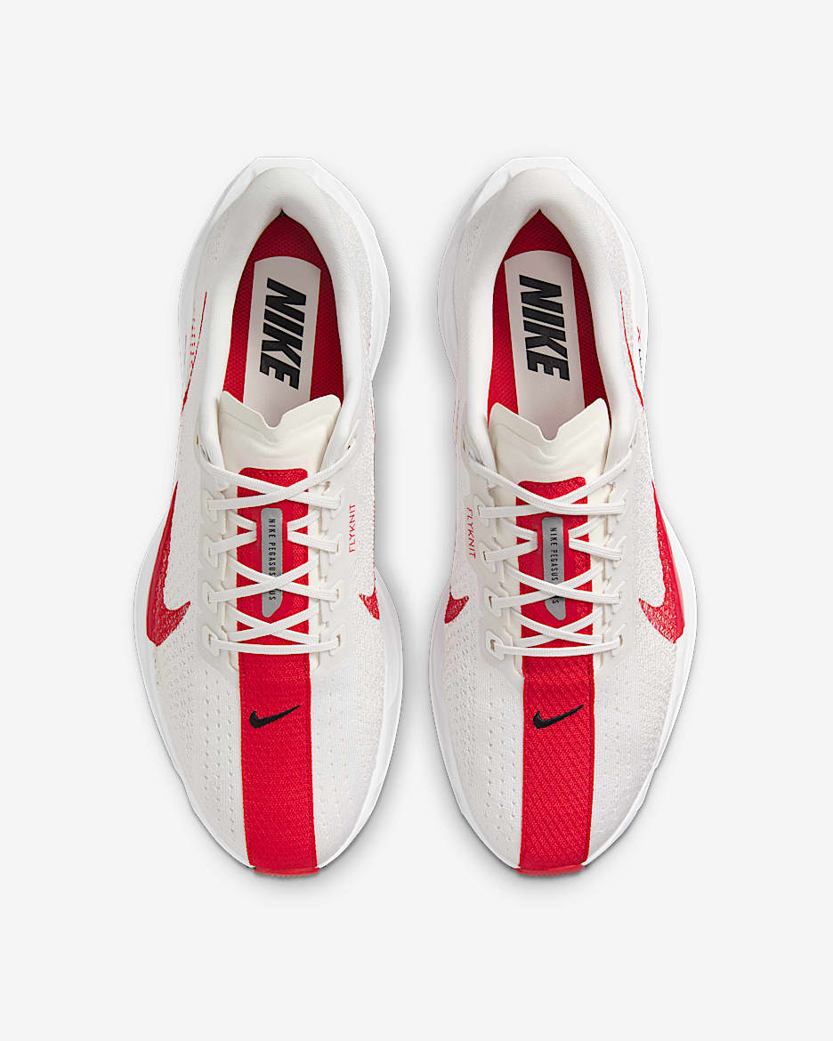 Nike Pegasus Plus